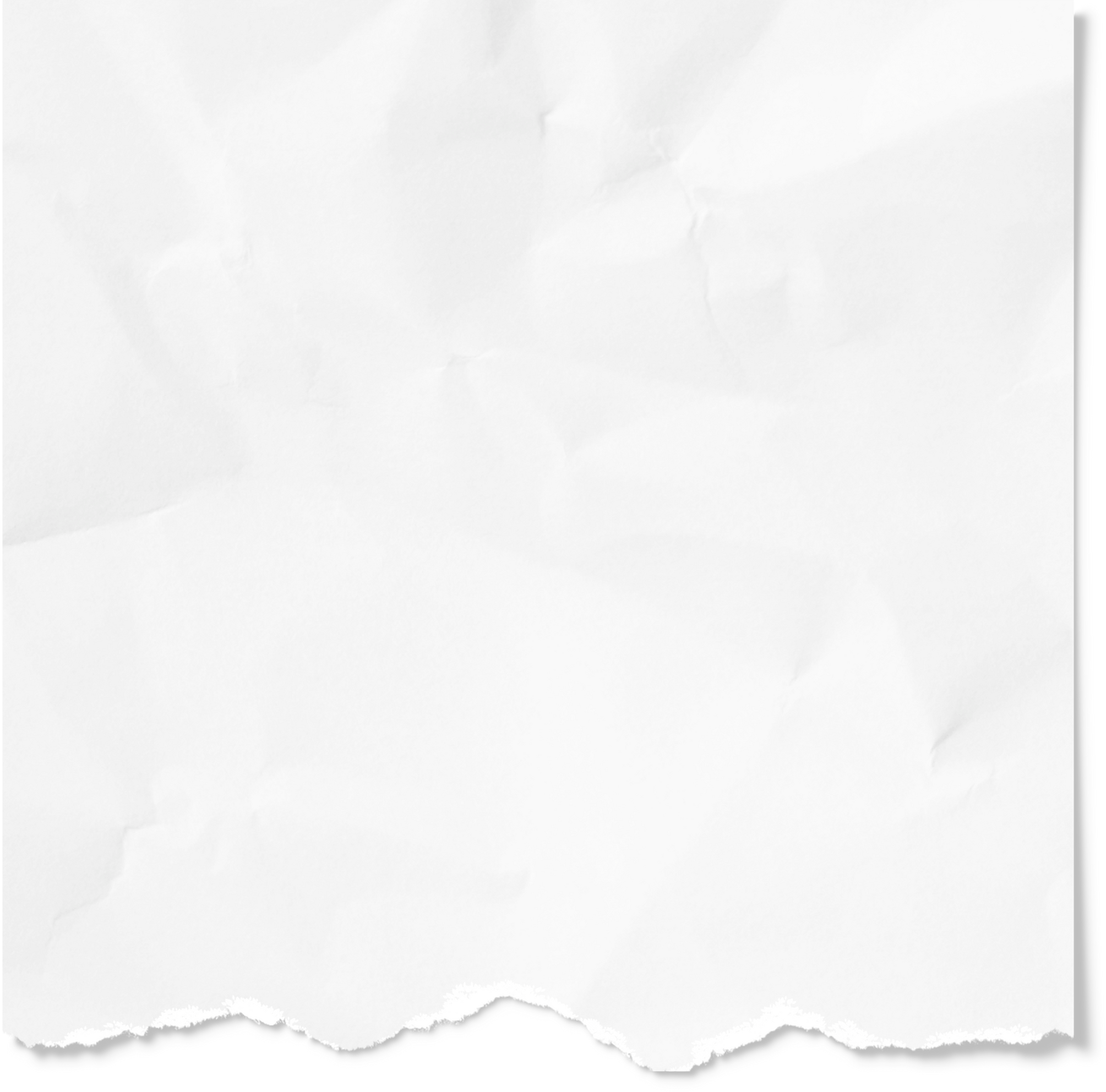 Torn White Sheet of Paper